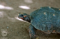Isla de Margarita (42)